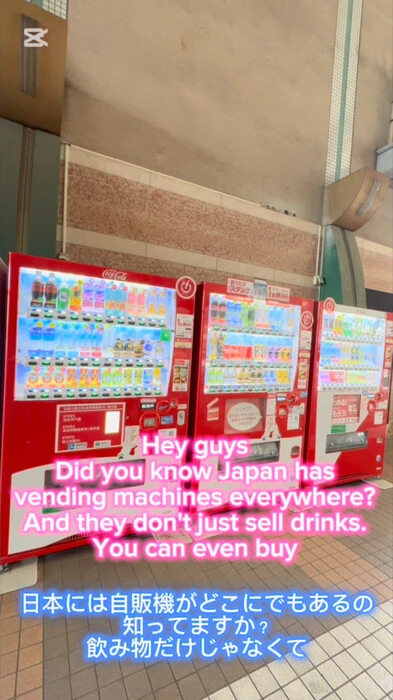 画像247