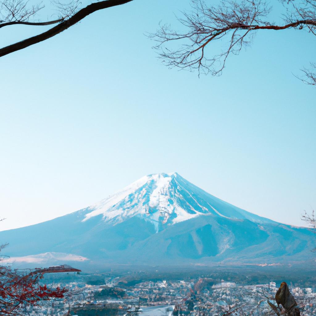 観光ビザの対応